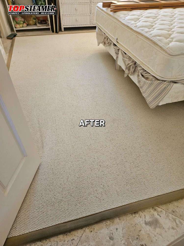 limpieza de alfombras cerca de mi coral gable